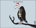 Clergy birds of prey.jpg