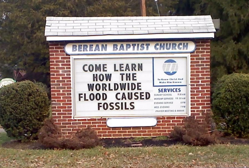 File:Flood caused fossils.jpg