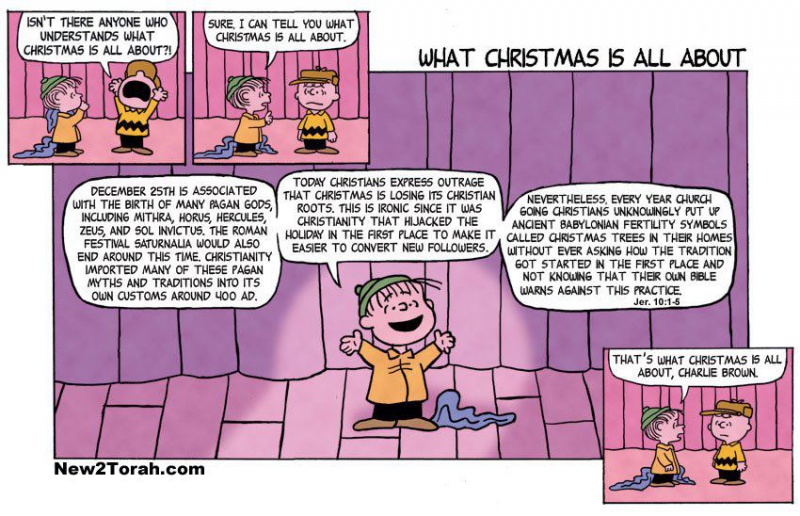 File:Peanuts - what christmas is all about.jpg