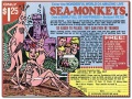 Sea monkeys.jpg